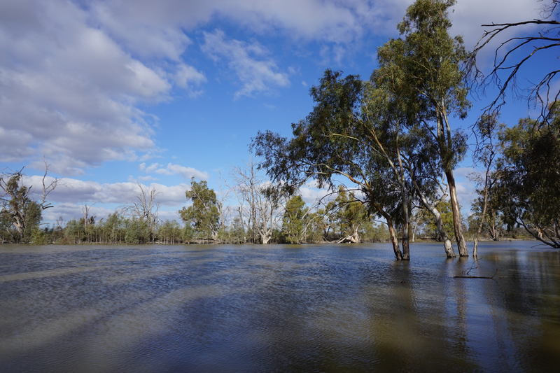 Illustration for article titled Roamin' the Riverland.